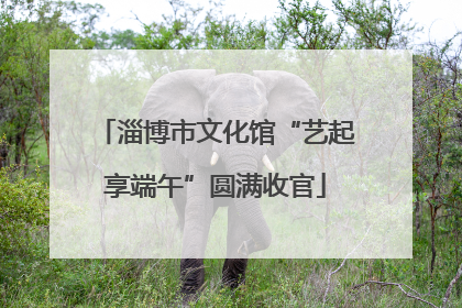 淄博市文化馆“艺起享端午”圆满收官